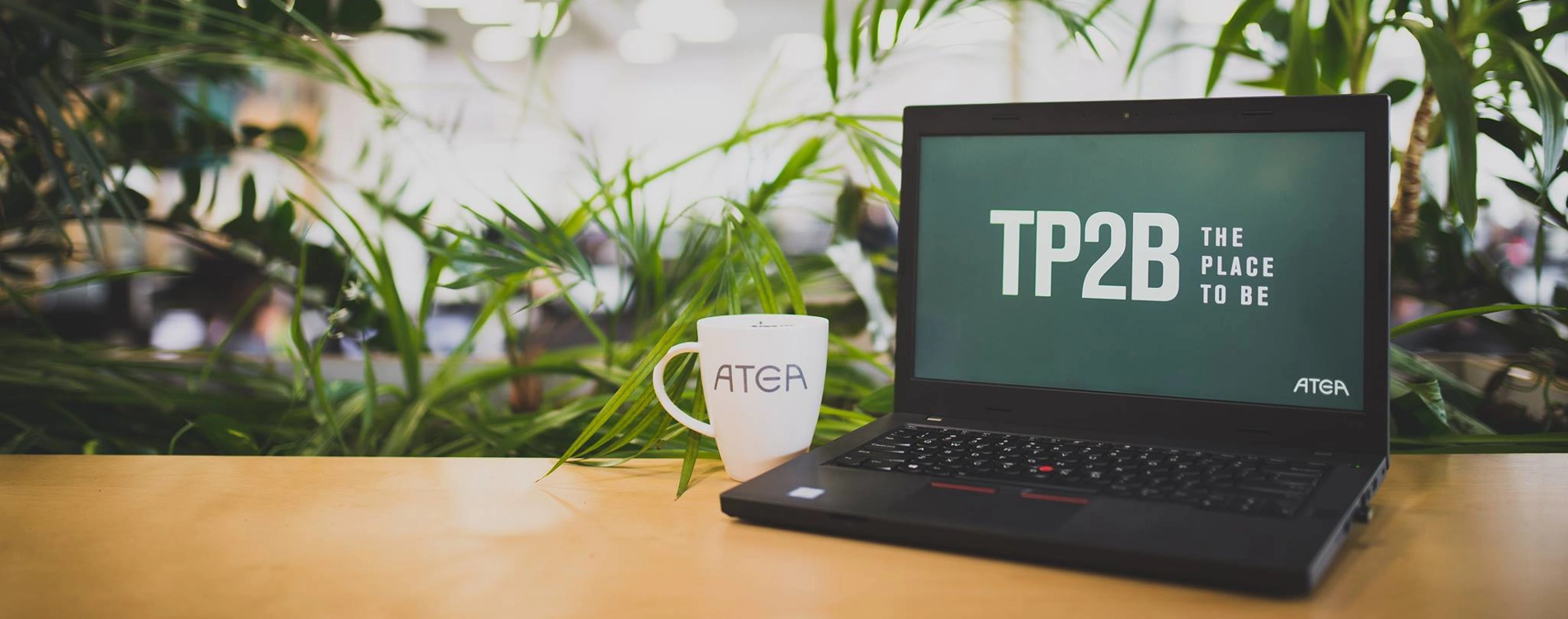 Atea TP2B
